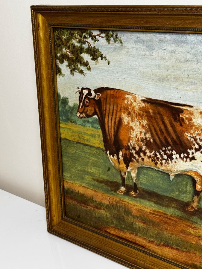 Antique TraditionalVictorian Animal Painting Prized Shorthorn Bull 