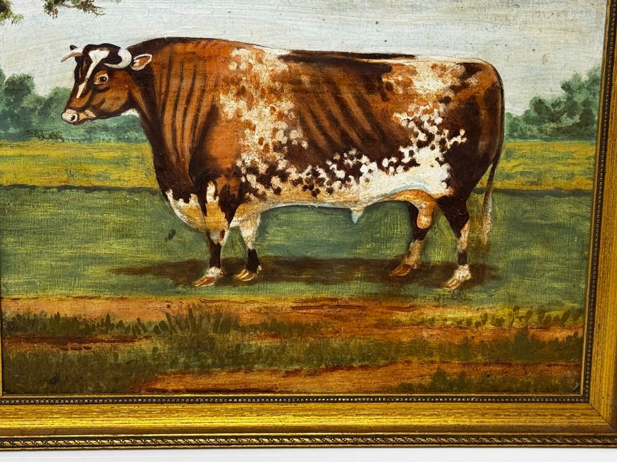 Antique TraditionalVictorian Animal Painting Prized Shorthorn Bull 