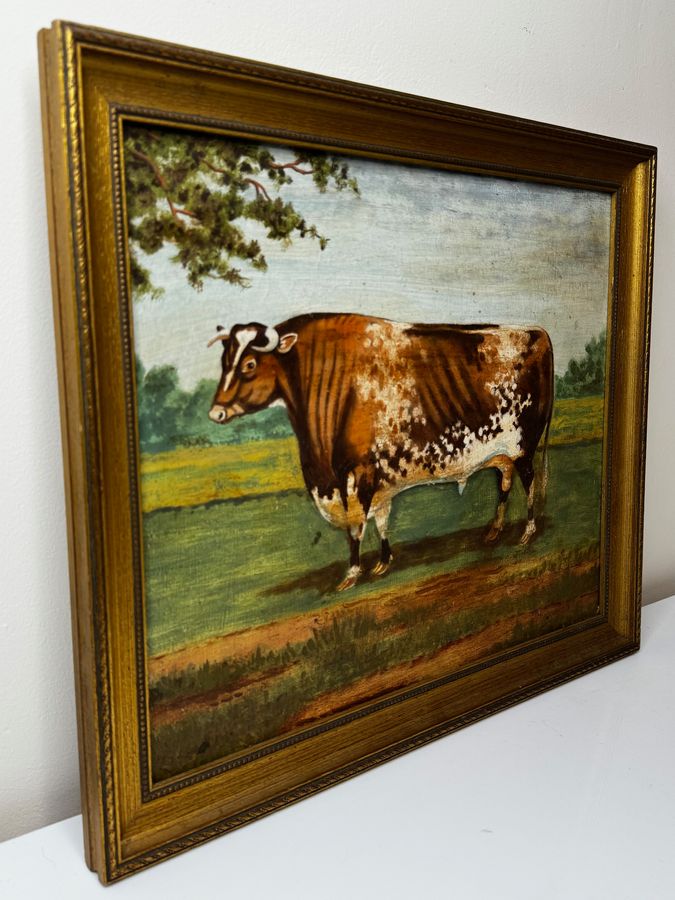 Antique TraditionalVictorian Animal Painting Prized Shorthorn Bull 