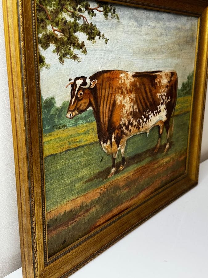 Antique TraditionalVictorian Animal Painting Prized Shorthorn Bull 