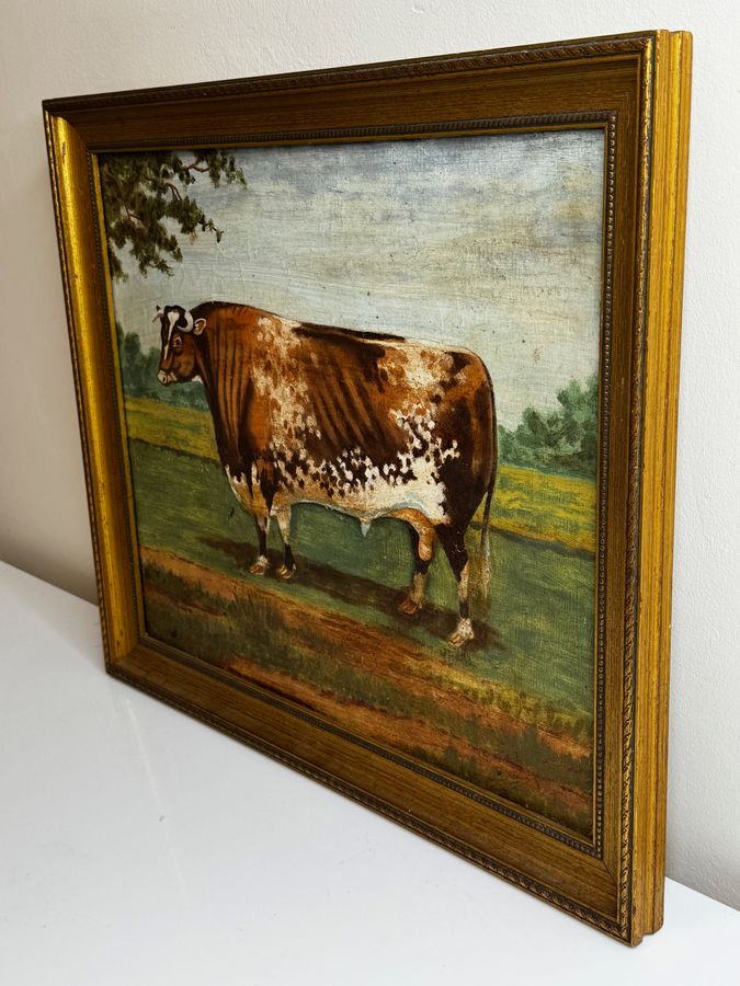 Antique TraditionalVictorian Animal Painting Prized Shorthorn Bull 