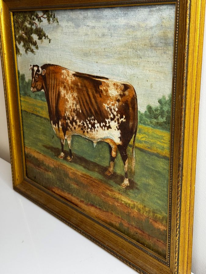 Antique TraditionalVictorian Animal Painting Prized Shorthorn Bull 