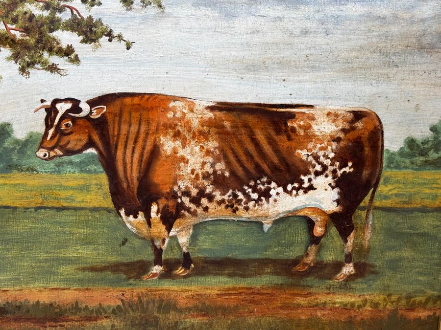 Antique TraditionalVictorian Animal Painting Prized Shorthorn Bull 