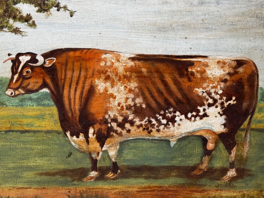 Antique TraditionalVictorian Animal Painting Prized Shorthorn Bull 