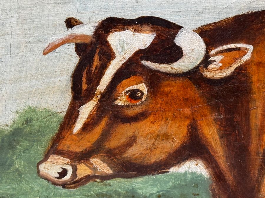 Antique TraditionalVictorian Animal Painting Prized Shorthorn Bull 