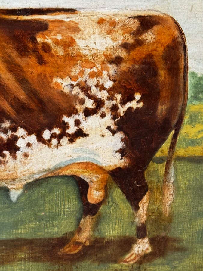 Antique TraditionalVictorian Animal Painting Prized Shorthorn Bull 