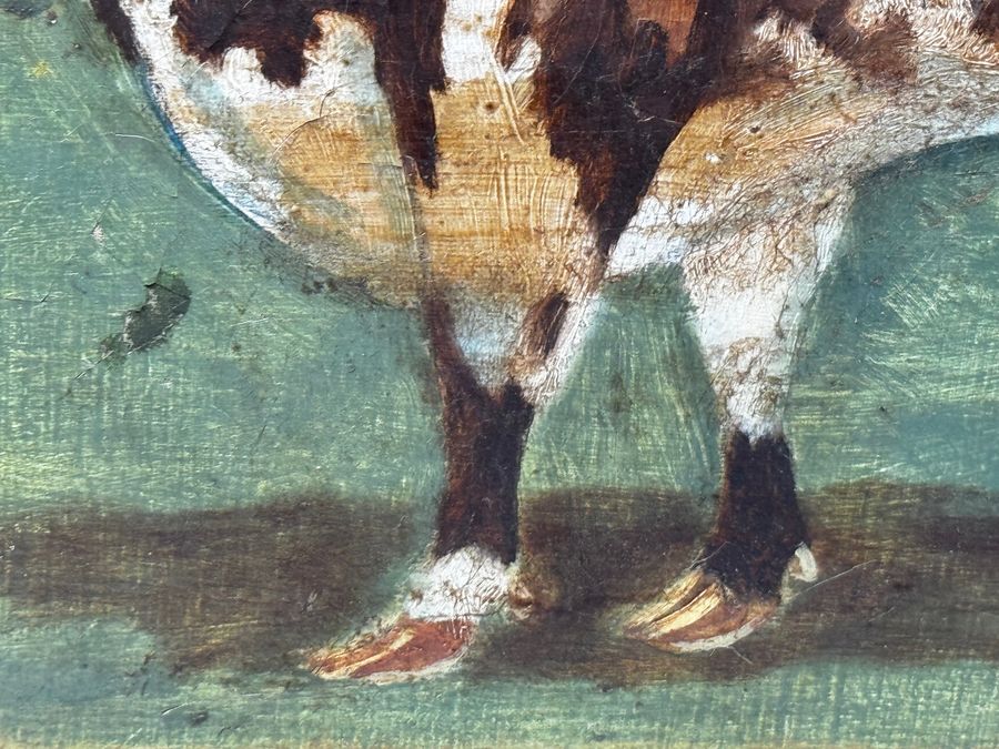 Antique TraditionalVictorian Animal Painting Prized Shorthorn Bull 