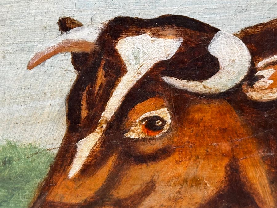 Antique TraditionalVictorian Animal Painting Prized Shorthorn Bull 