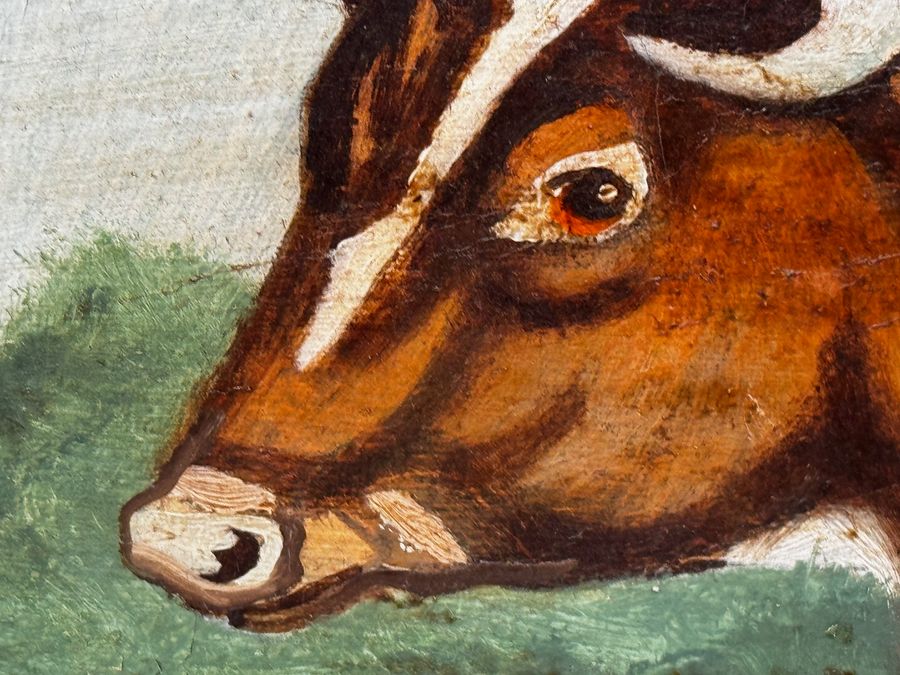 Antique TraditionalVictorian Animal Painting Prized Shorthorn Bull 