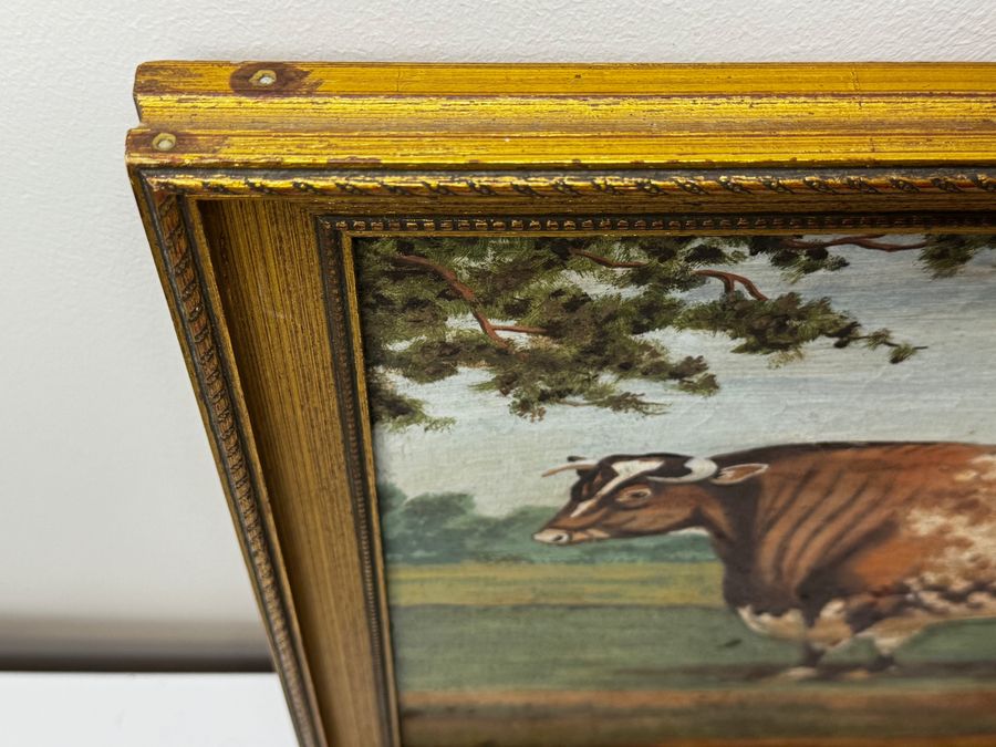 Antique TraditionalVictorian Animal Painting Prized Shorthorn Bull 