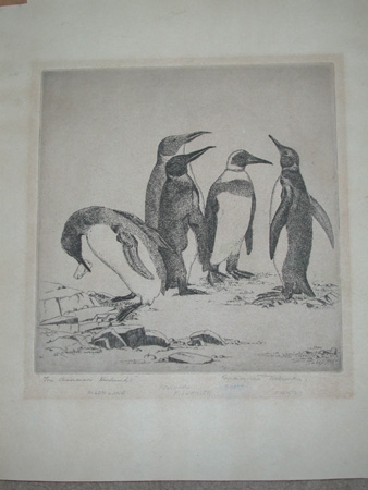 Penguins a framed dry point The Chairman signed and inscribed with the names of the penguins
