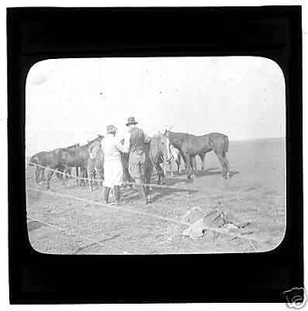 A Victorian glass magic lantern slide on the lines polo ponies with grooms