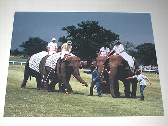 Mike Roberts English 20th century Elephant Polo Berkshire Polo Club Limited edition photograph nu...