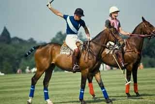 A limited edition signed photograph 1/5 by Royal photographer Mike Roberts English 20th century