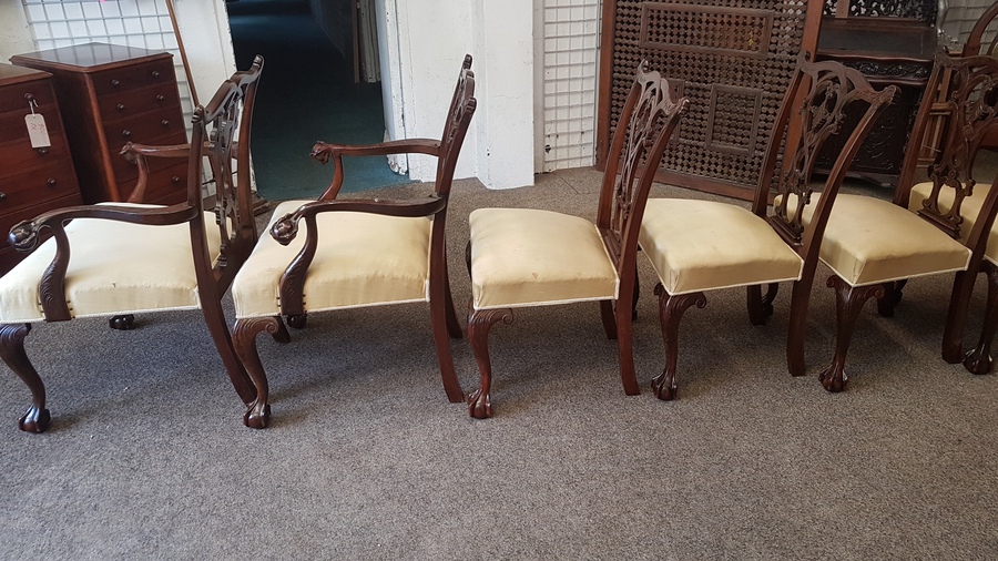 Antique Antique Set of 12 Dining Chairs 