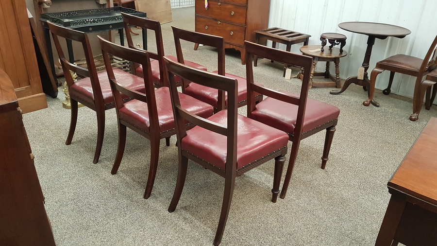 Antique 6 Antique Leather Dining Chairs 