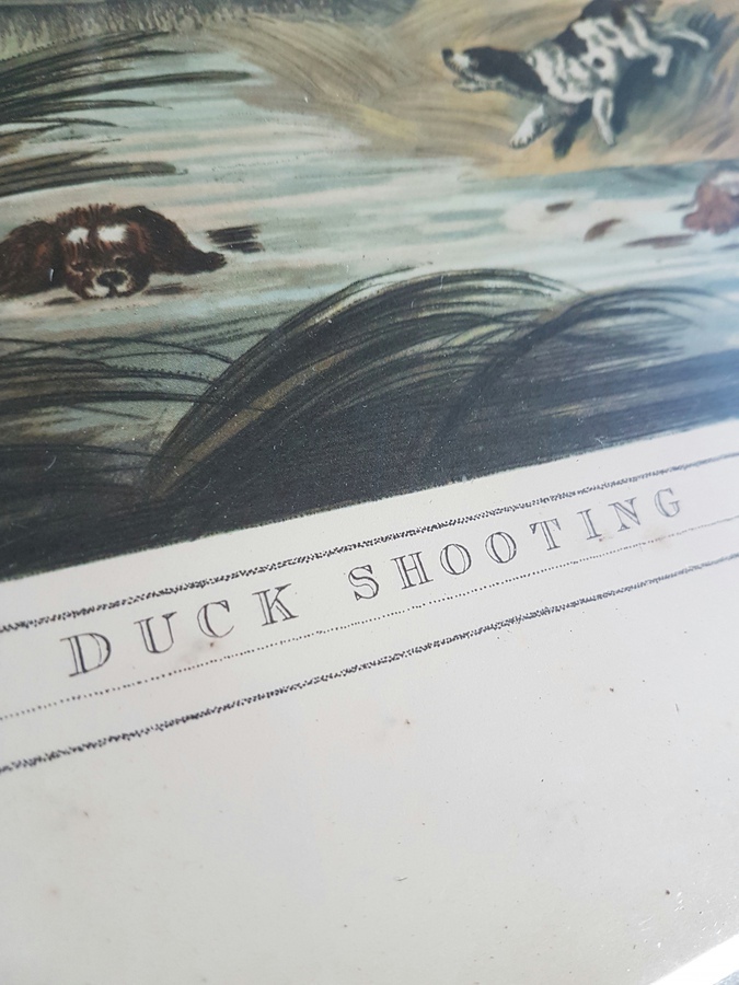Antique Antique Set of 4 Hunting Prints