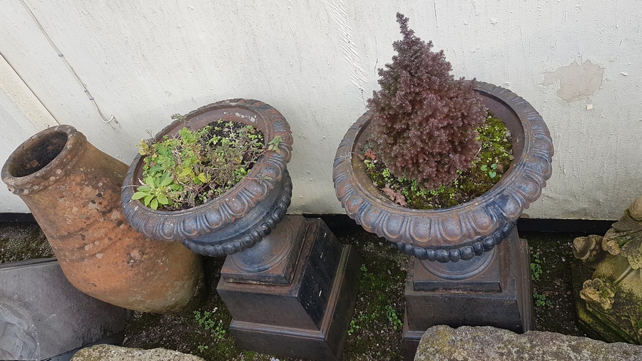 Antique Pair of Garden Urns