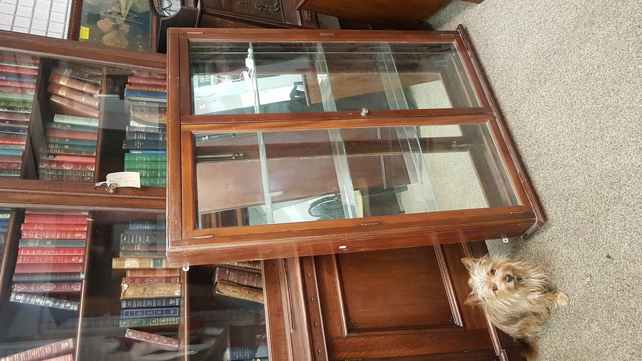 Antique Antique Shop Display Cabinet 