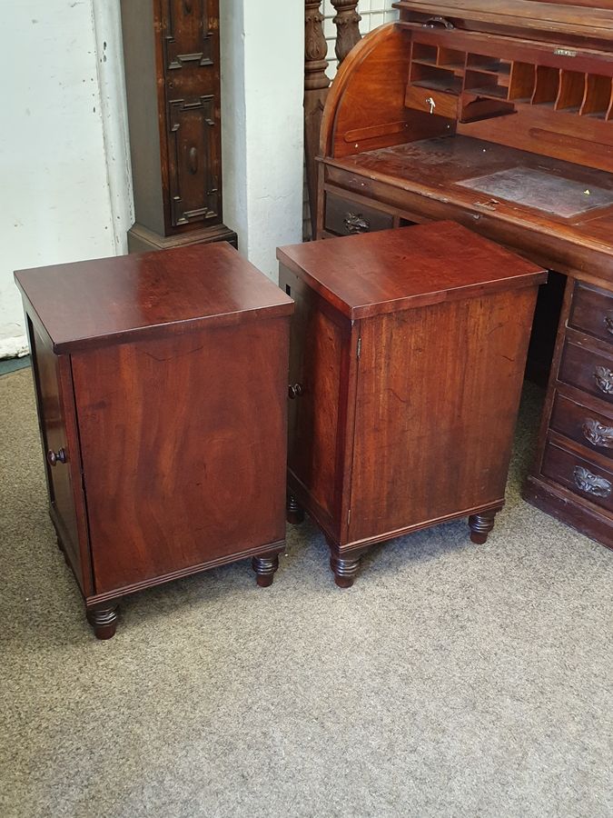Antique Antique Regency Pair of Bedside Tables Cabinet's 