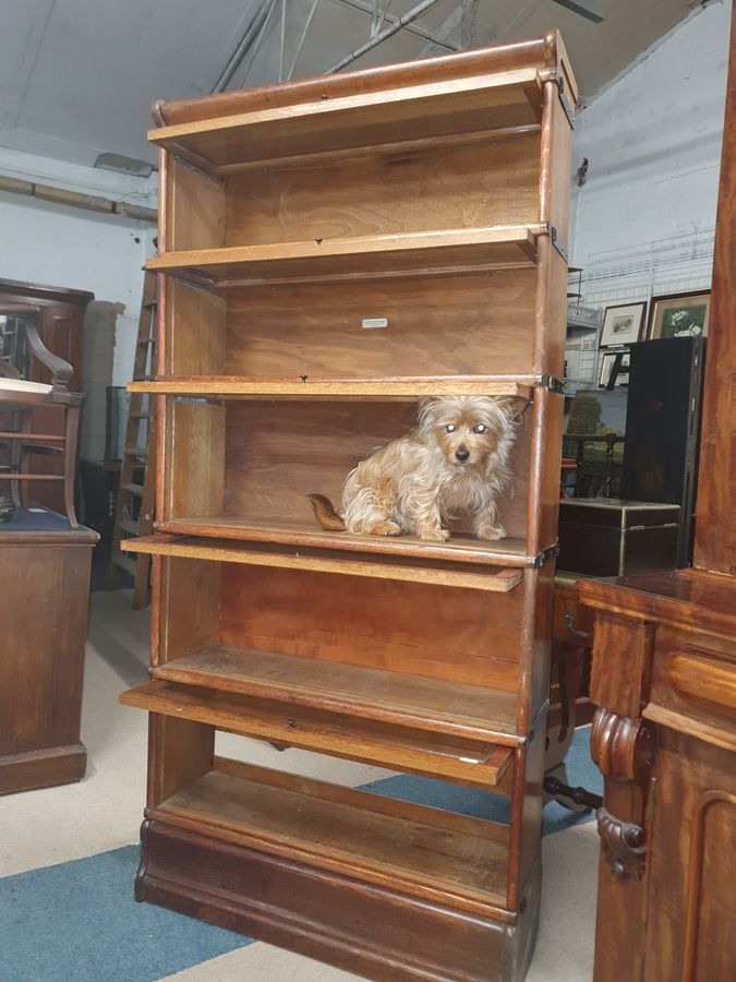 Antique Antique Edwardian Oak Globe Wernick Stacking Bookcase Display Cabinet 