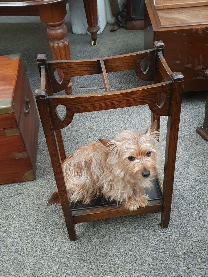 Antique Small Antique Edwardian Oak Stick Umbrella Stand 