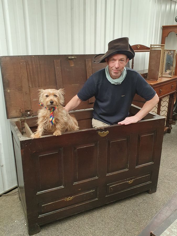 Antique Large Antique Georgian Oak Coffer Mule Chest Box