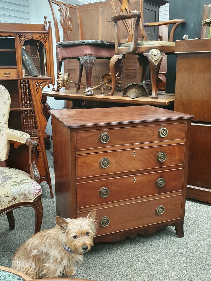 Antique Small Antique Chest of Drawers 