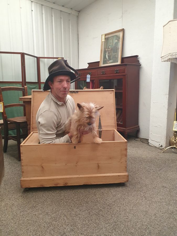 Antique Antique Pine Box Chest or Coffee Table 