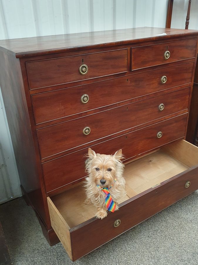 Antique Good Large Antique 19thC Chest of Drawers 