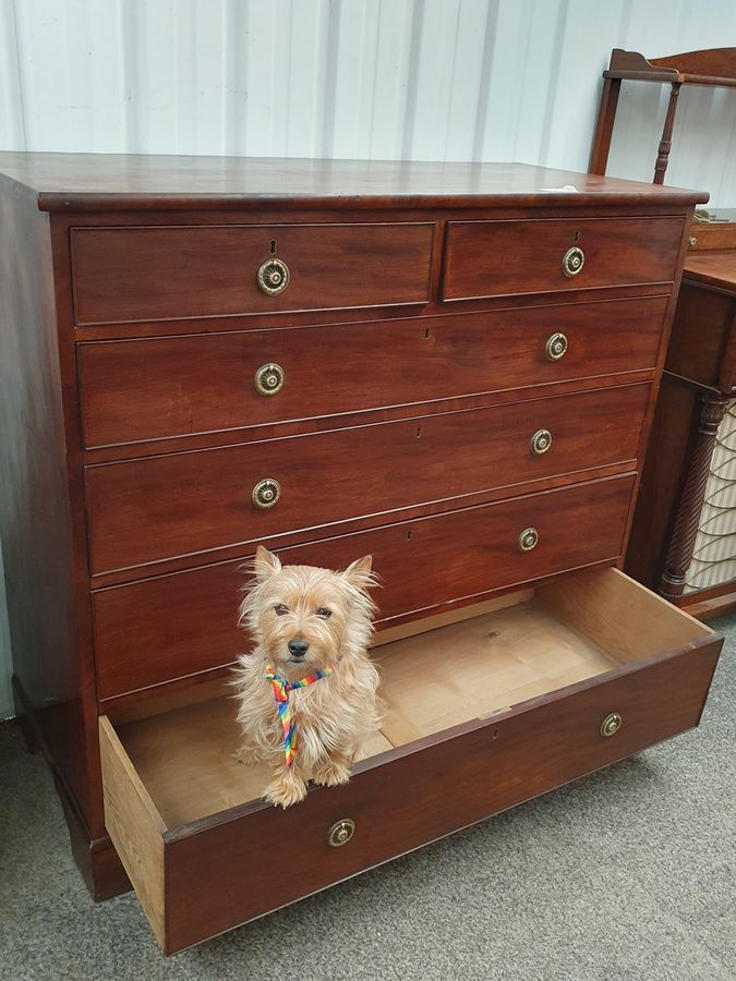 Antique Good Large Antique 19thC Chest of Drawers 