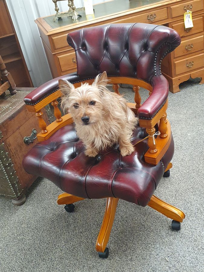 Antique Vintage Leather Revolving Chesterfield Office Captain Desk Chair Armchair 