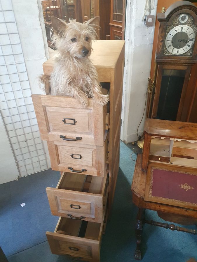 Antique Antique 1920's Office Filing Cabinet 