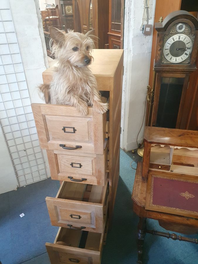 Antique Antique 1920's Office Filing Cabinet 