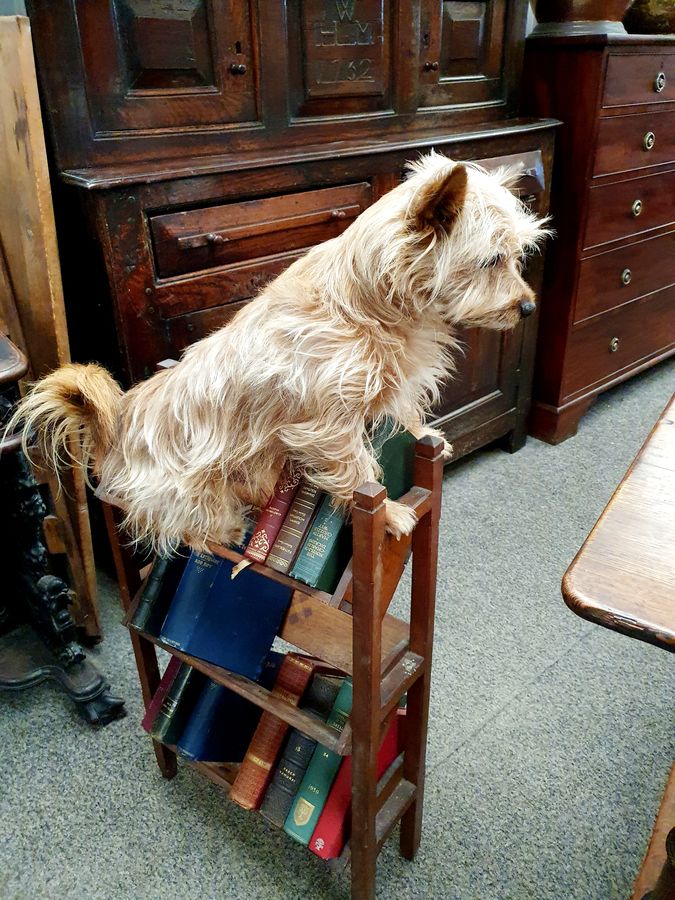 Antique Good Small Arts & Crafts Book Trough Bookcase 