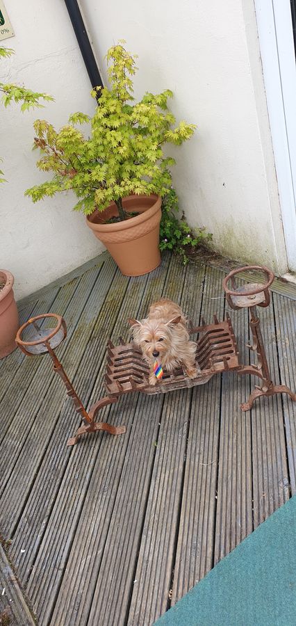 Antique Antique Cast Iron Fire Grate