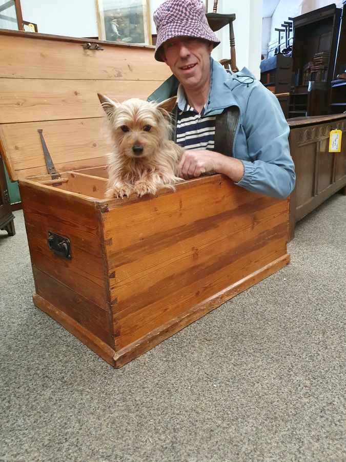 Antique Good Edwardian Pine Box Trunk Table Chest