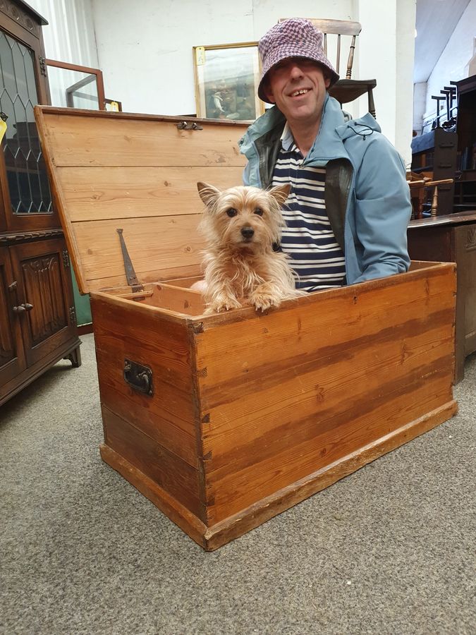 Antique Good Edwardian Pine Box Trunk Table Chest