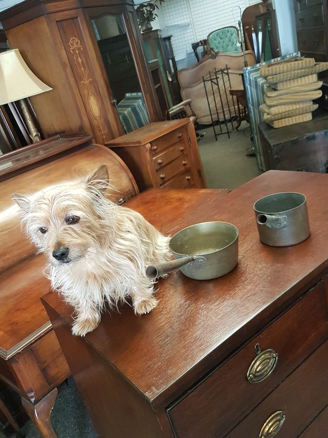 Antique Antique Brass Cooking Pot