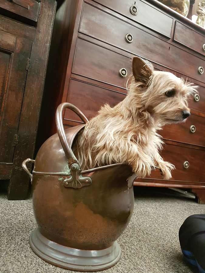 Antique Antique Copper Fireplace Coal Helmet Scuttle