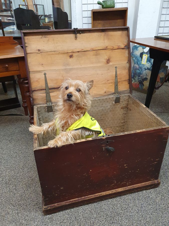 Antique Small Antique Pine Log Box Chest