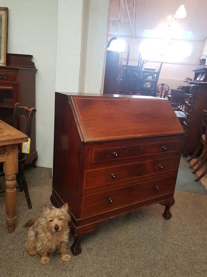 Antique Good Edwardian Writing Bureau Office Desk