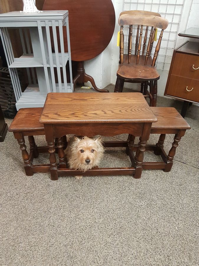 Antique Good Solid Oak Nest of  Occasional Coffee Tables 