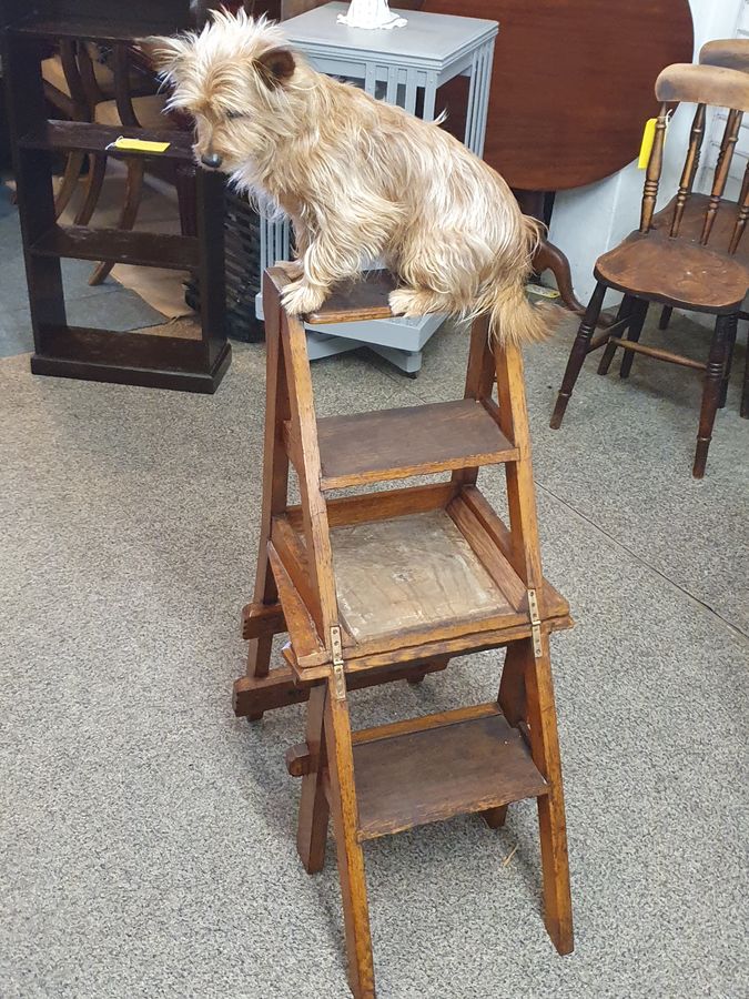 Antique Good Antique Arts & Crafts Metamorphic Library Step Chair