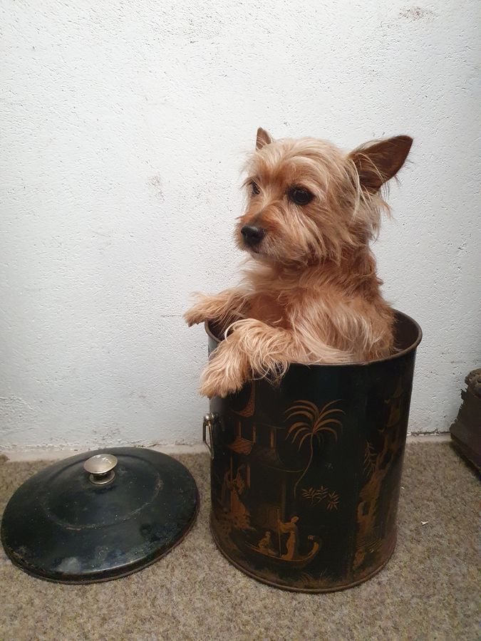 Antique Antique Chinese Oriental Hand Painted Waste Paper Bin