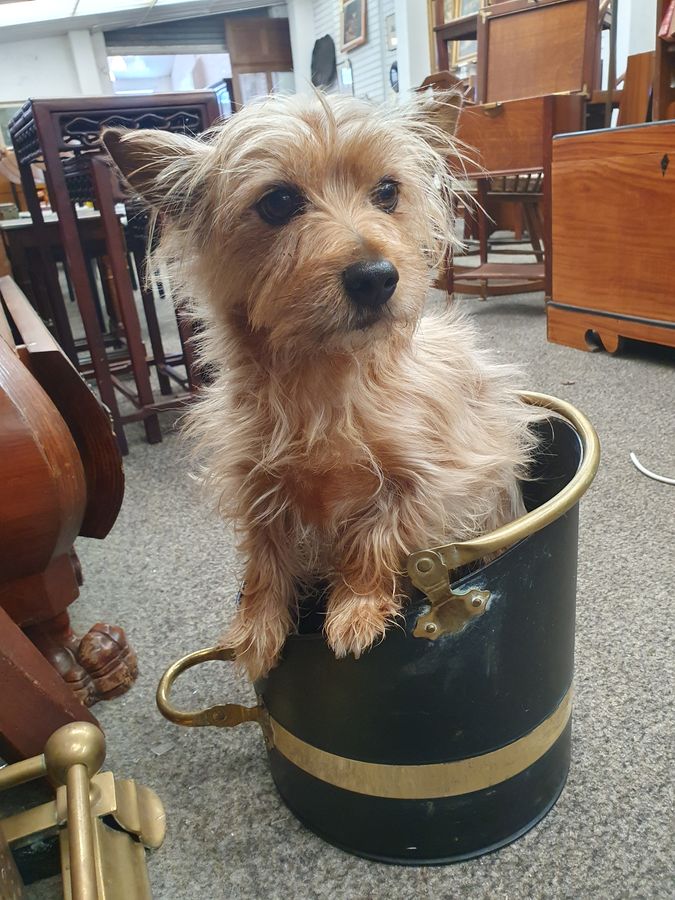 Antique Good 1920's  Coal Scuttle Log Bin