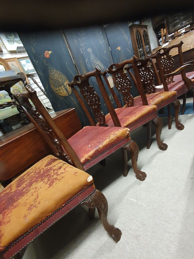 Antique Antique Set of 6 Ball & Claw Dining Chairs 