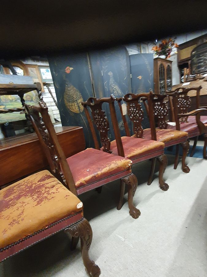 Antique Antique Set of 6 Ball & Claw Dining Chairs 