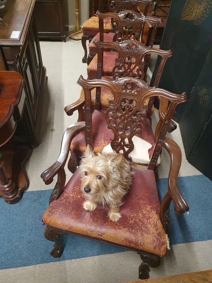 Antique Antique Set of 6 Ball & Claw Dining Chairs 