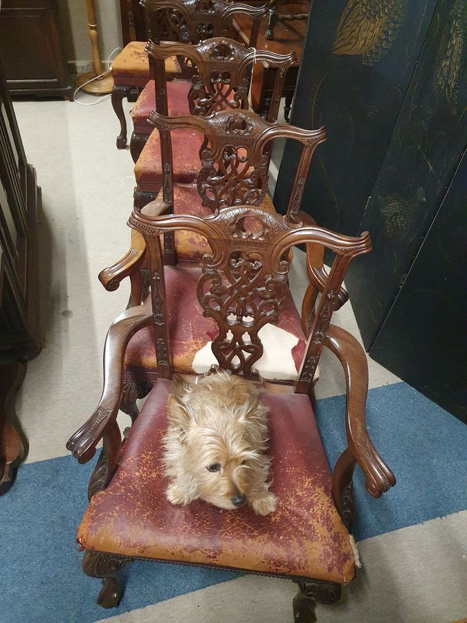 Antique Antique Set of 6 Ball & Claw Dining Chairs 